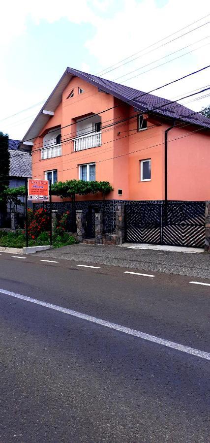 Pensiunea Anca Rona de Jos Exterior foto
