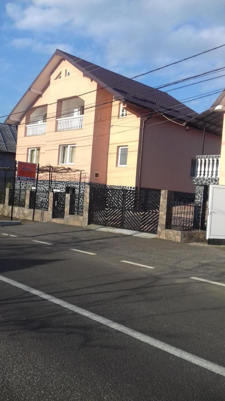 Pensiunea Anca Rona de Jos Exterior foto